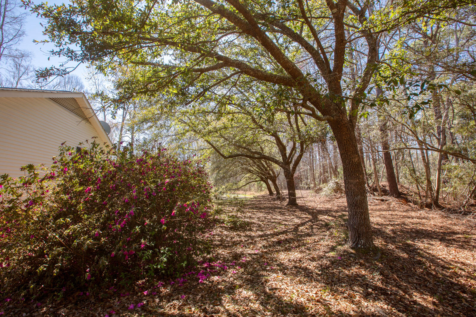 5673 Dixie Plantation Road Hollywood, SC 29449 - Photo 47 of 66 4U8A8529