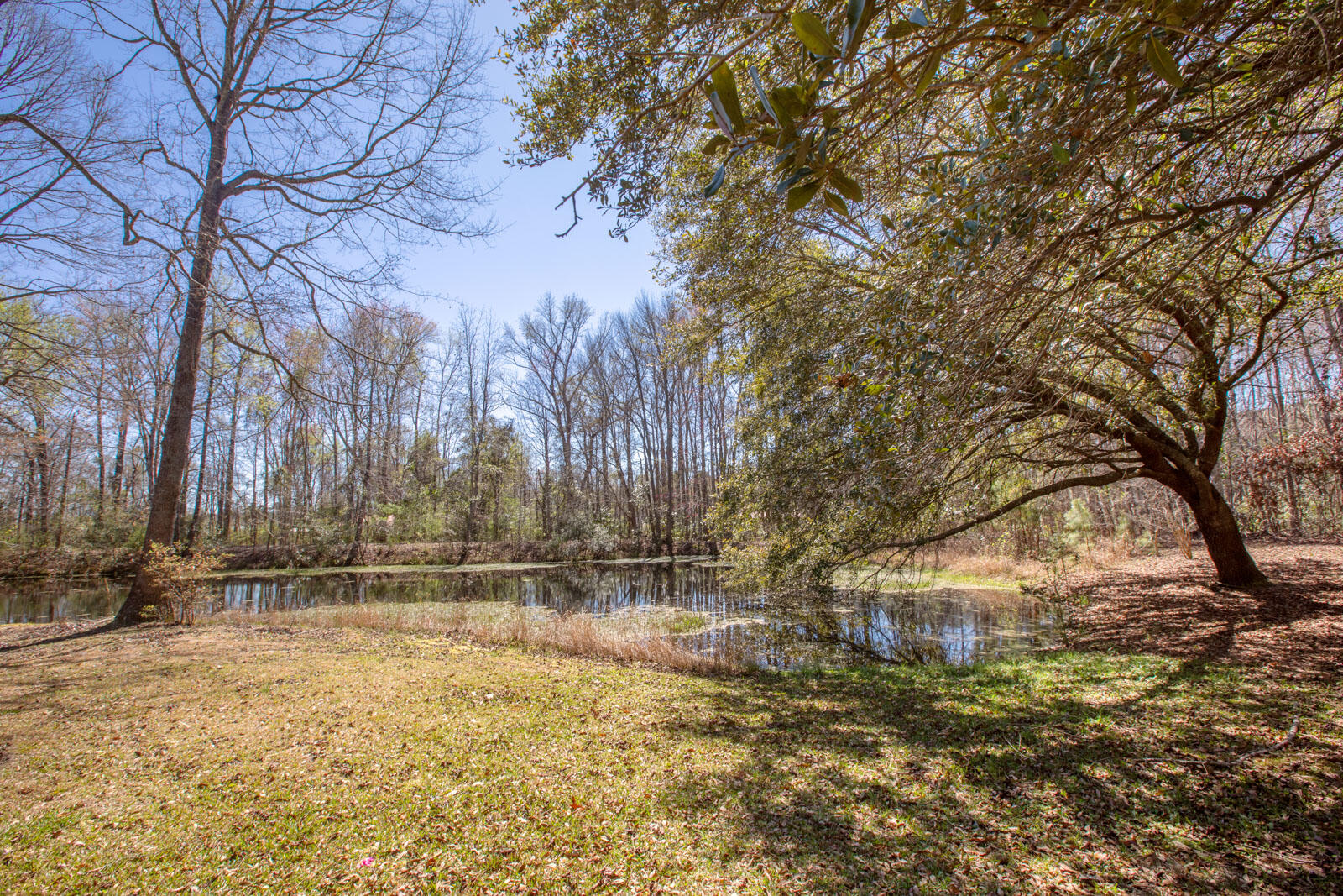 5673 Dixie Plantation Road Hollywood, SC 29449 - Photo 48 of 66 4U8A8532