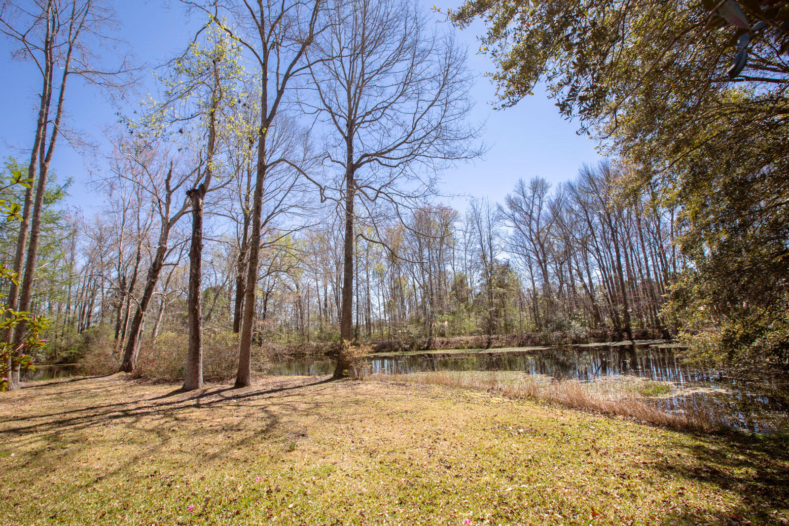5673 Dixie Plantation Road Hollywood, SC 29449 - Photo 49 of 66 4U8A8533