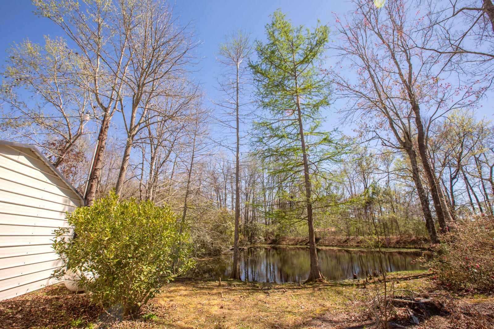 5673 Dixie Plantation Road Hollywood, SC 29449 - Photo 50 of 66 4U8A8538