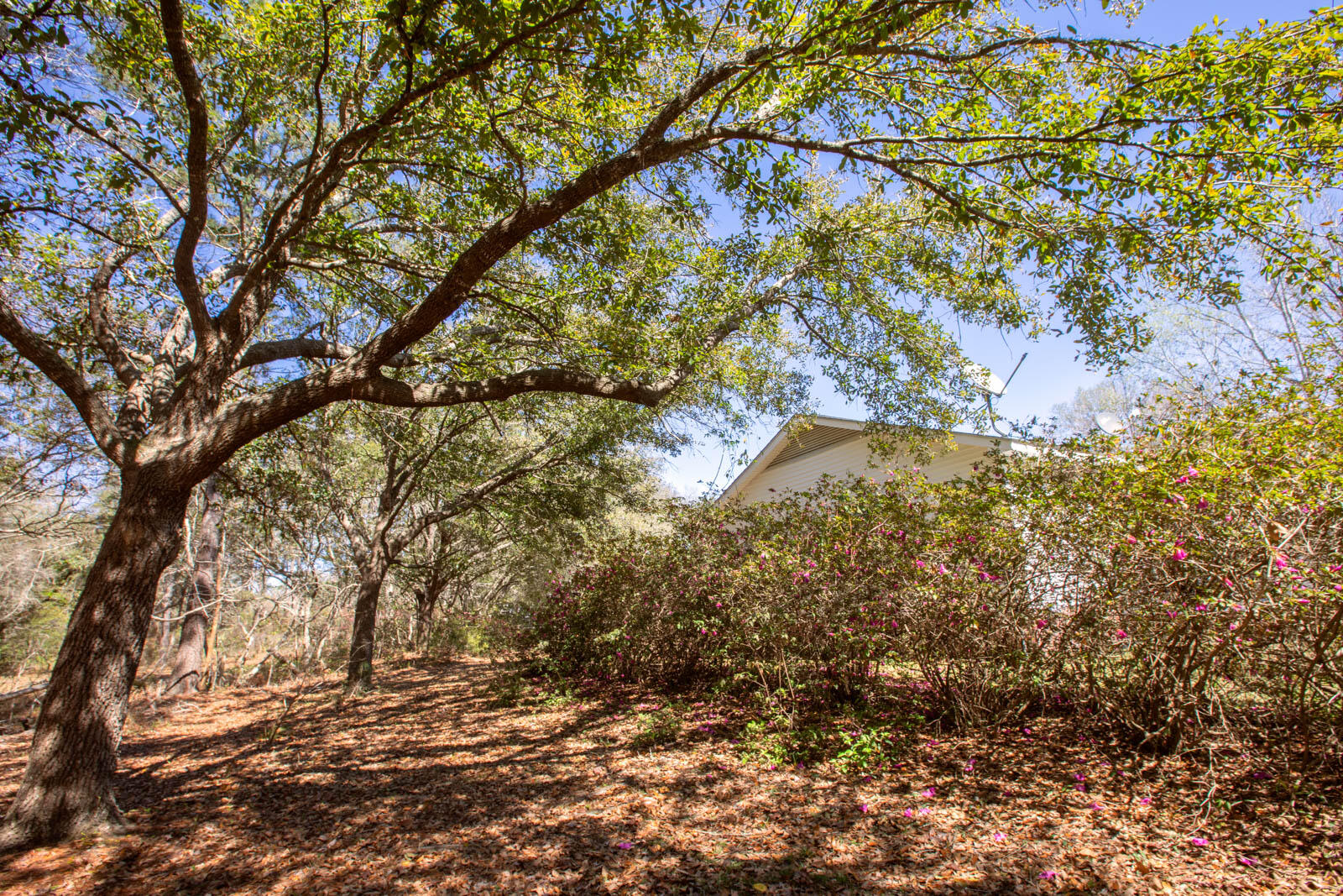 5673 Dixie Plantation Road Hollywood, SC 29449 - Photo 59 of 66 4U8A8557