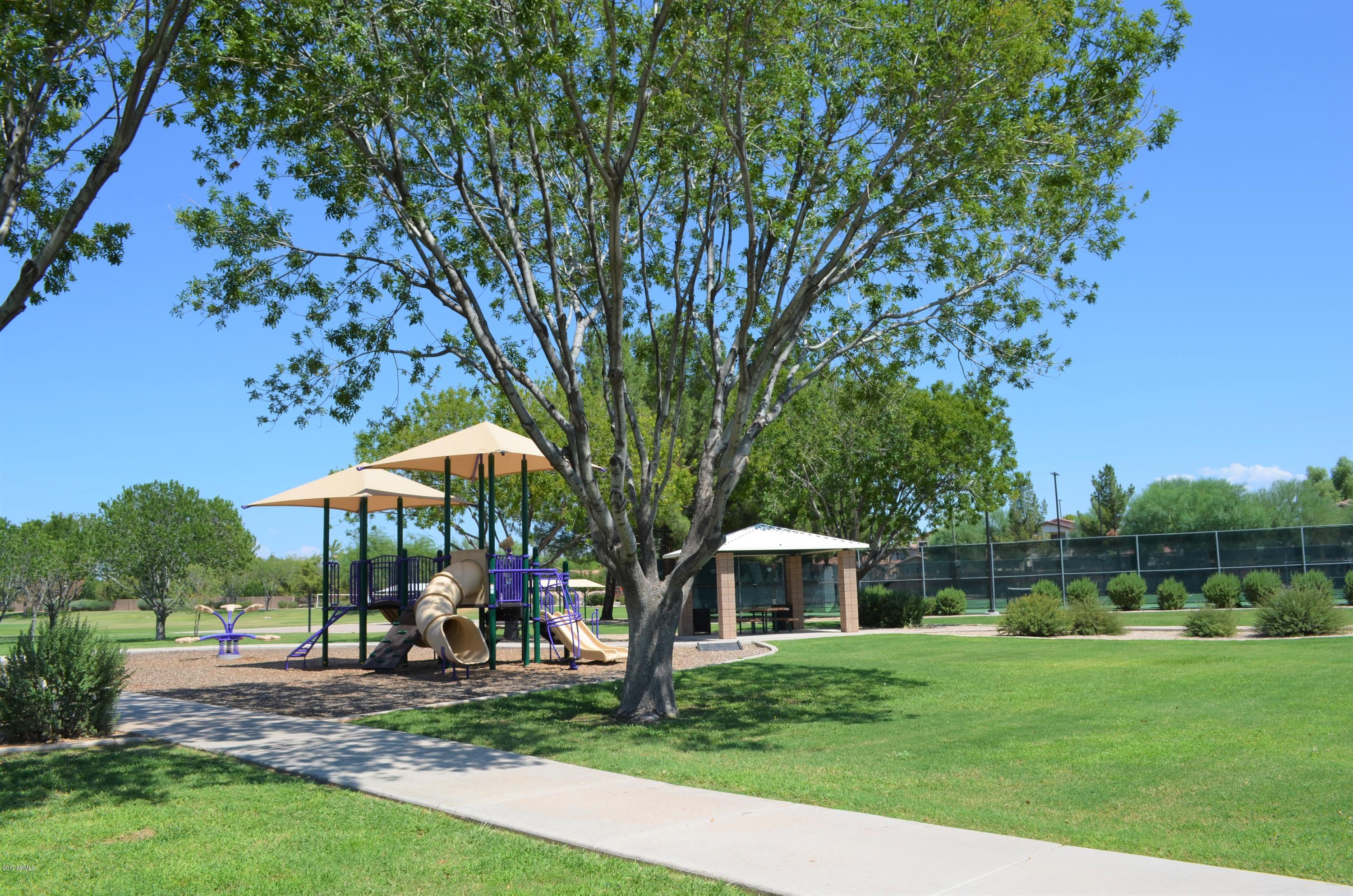 1742 East Del Rio Street Gilbert, AZ 85295 - Photo 19 of 28 a view of a park with a table and chairs under an umbrella