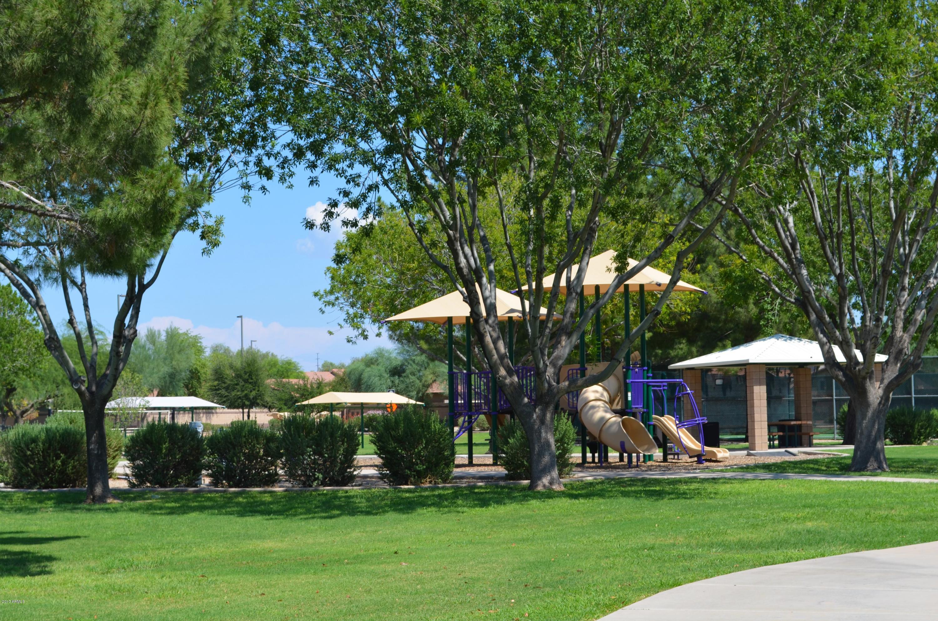 1742 East Del Rio Street Gilbert, AZ 85295 - Photo 21 of 28 a view of a park with large trees and a barn