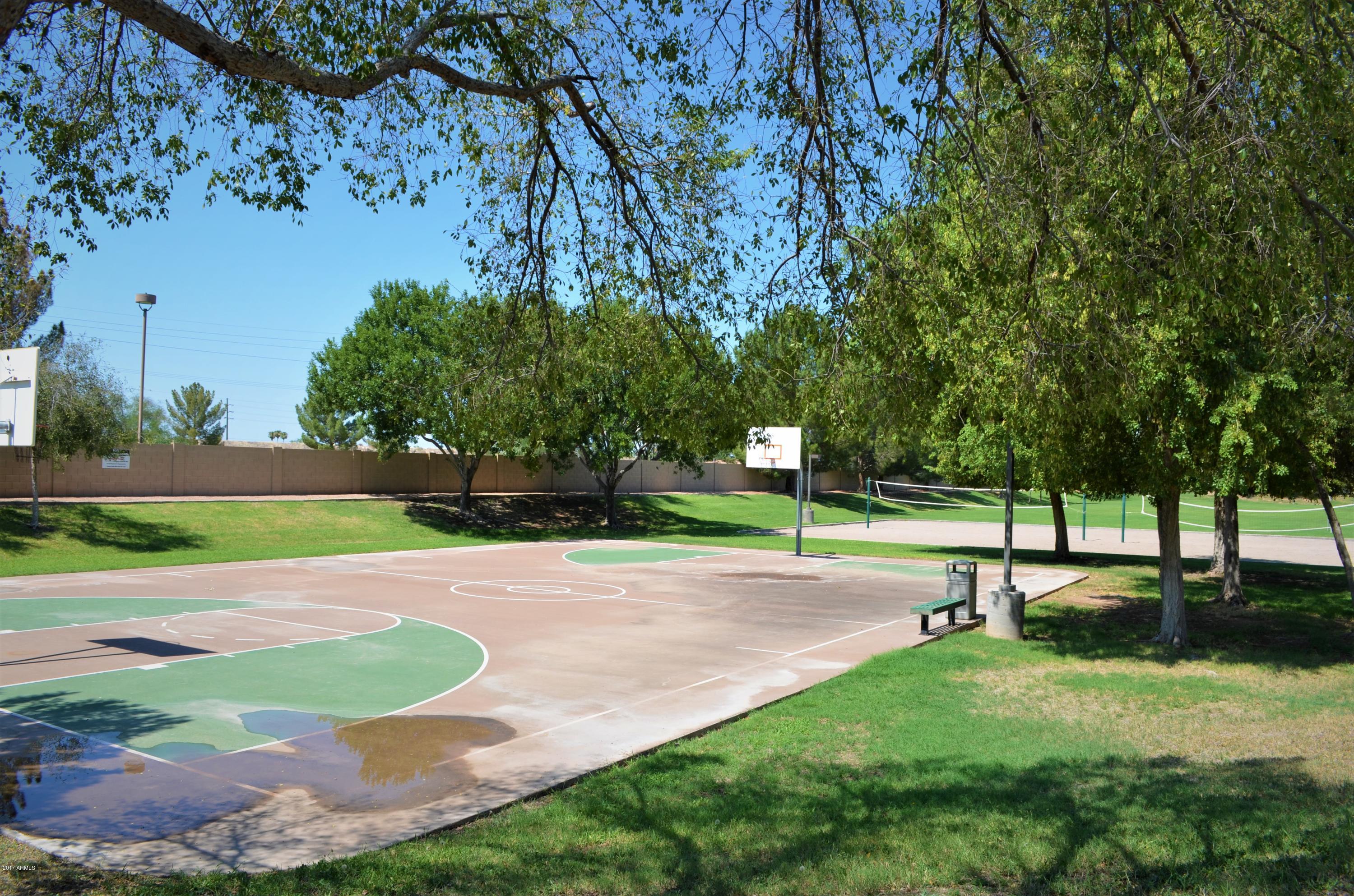 1742 East Del Rio Street Gilbert, AZ 85295 - Photo 24 of 28 Basketball