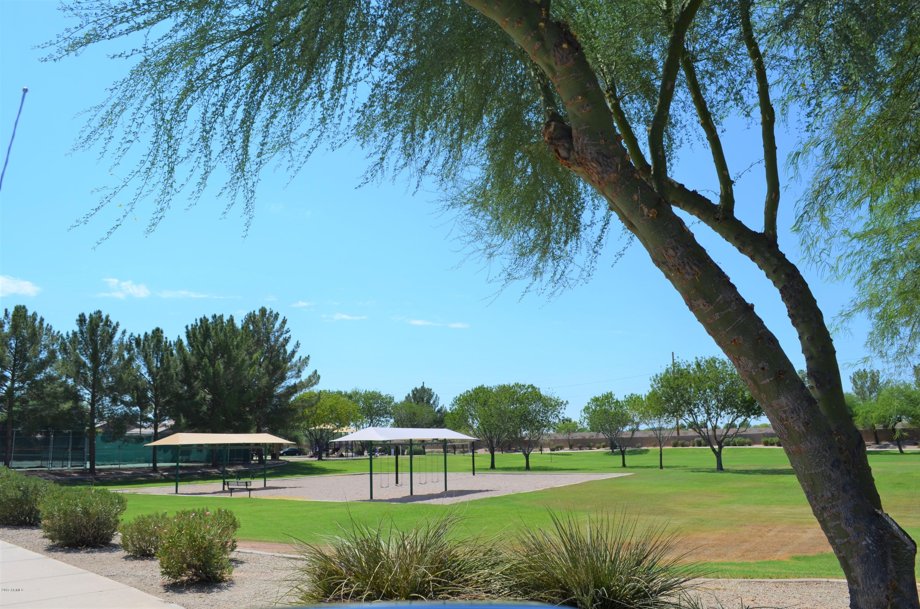 1742 East Del Rio Street Gilbert, AZ 85295 - Photo 25 of 28 a view of a park with large trees