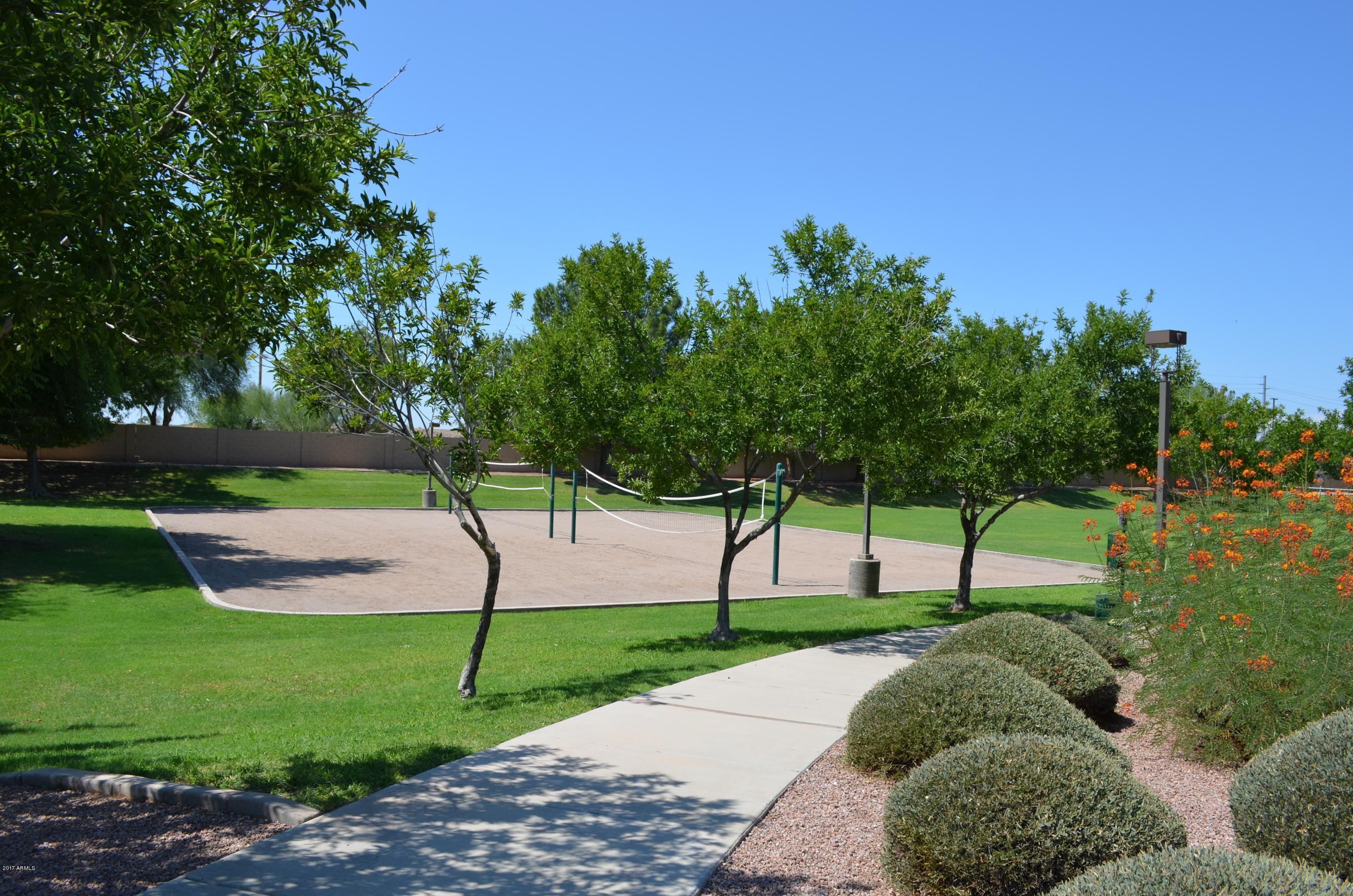 1742 East Del Rio Street Gilbert, AZ 85295 - Photo 28 of 28 a view of a park with large trees