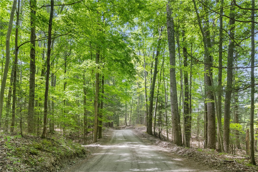 3351 Huggins Road Bradford, NY 14815 - Photo 49 of 50