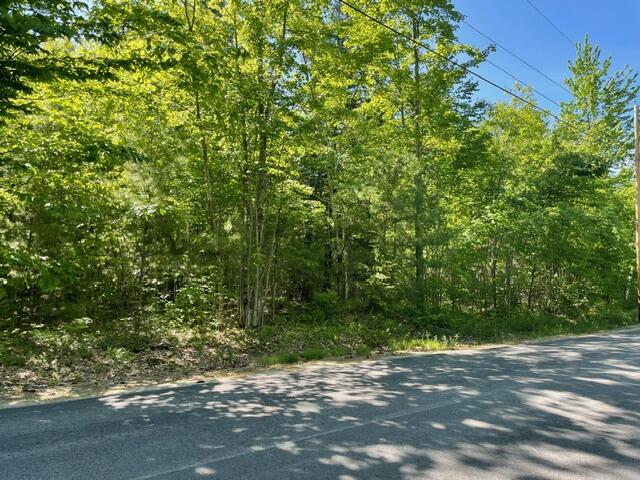 Lot 1 Tucker Road Limington, ME 04049 - Photo 3 of 4 image1 (1)