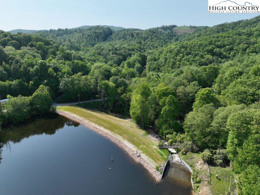 1772 Ripshin Mountain Road Roan Mountain, TN 37687 - Photo 20 of 30 a view of a house with a yard and a large park