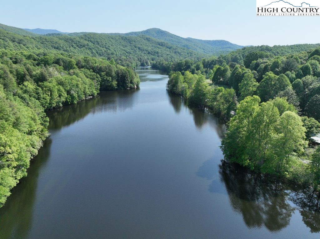 1772 Ripshin Mountain Road Roan Mountain, TN 37687 - Photo 21 of 30 a view of a lush green forest with houses