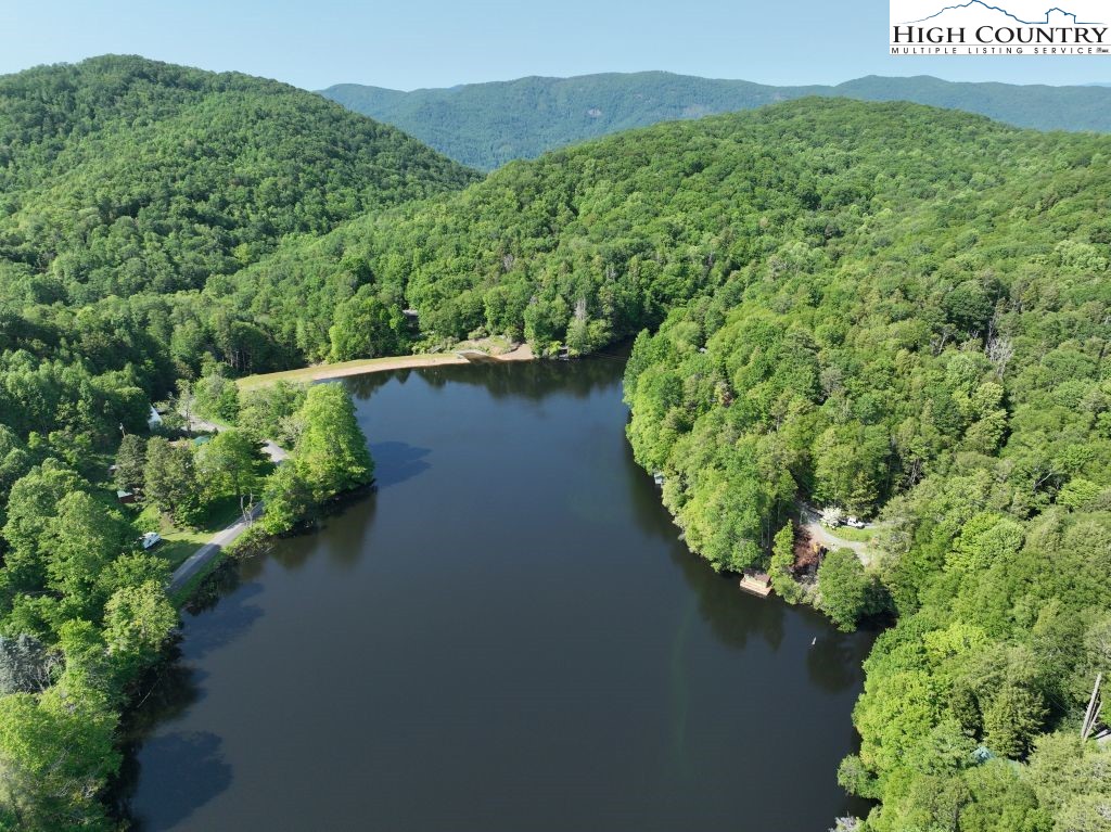 1772 Ripshin Mountain Road Roan Mountain, TN 37687 - Photo 22 of 30 an aerial view of a house with a yard