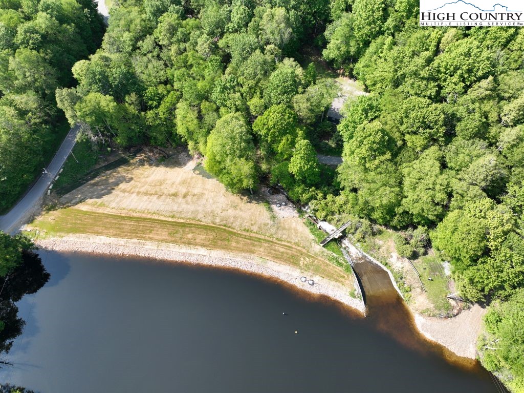 1772 Ripshin Mountain Road Roan Mountain, TN 37687 - Photo 29 of 30 a view of a yard with plants and tree