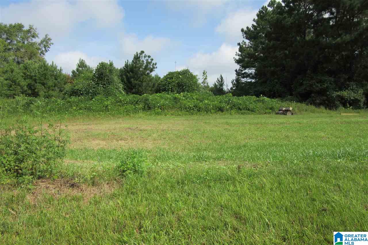 14081 County Road 24 Verbena, AL 36091 - Photo 30 of 40