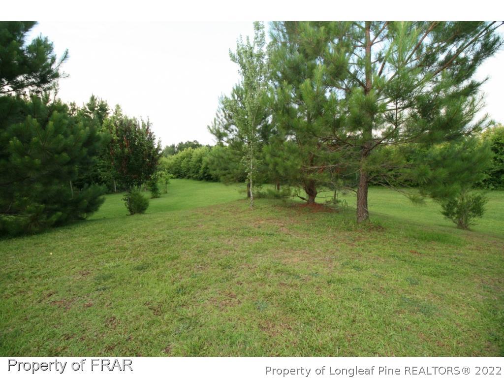 1671 Sivertson Road Autryville, NC 28318 - Photo 35 of 36 Gallery Image 35