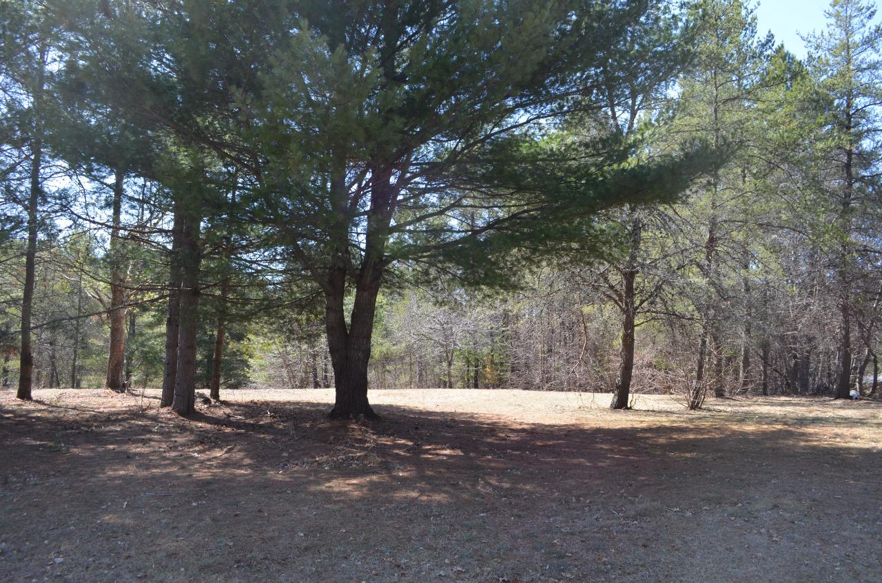 On Clear Lake Road Tomahawk, WI 54487 - Photo 20 of 20 Gallery Image 20