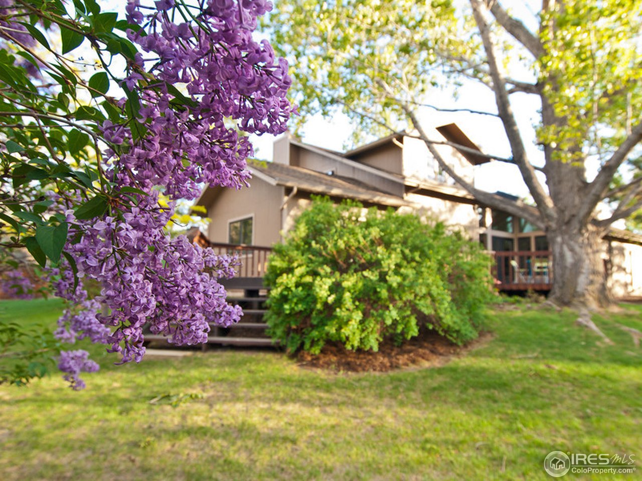 900 East Ridgecrest Road Fort Collins, CO 80524 - Photo 2 of 25 Gallery Image 2