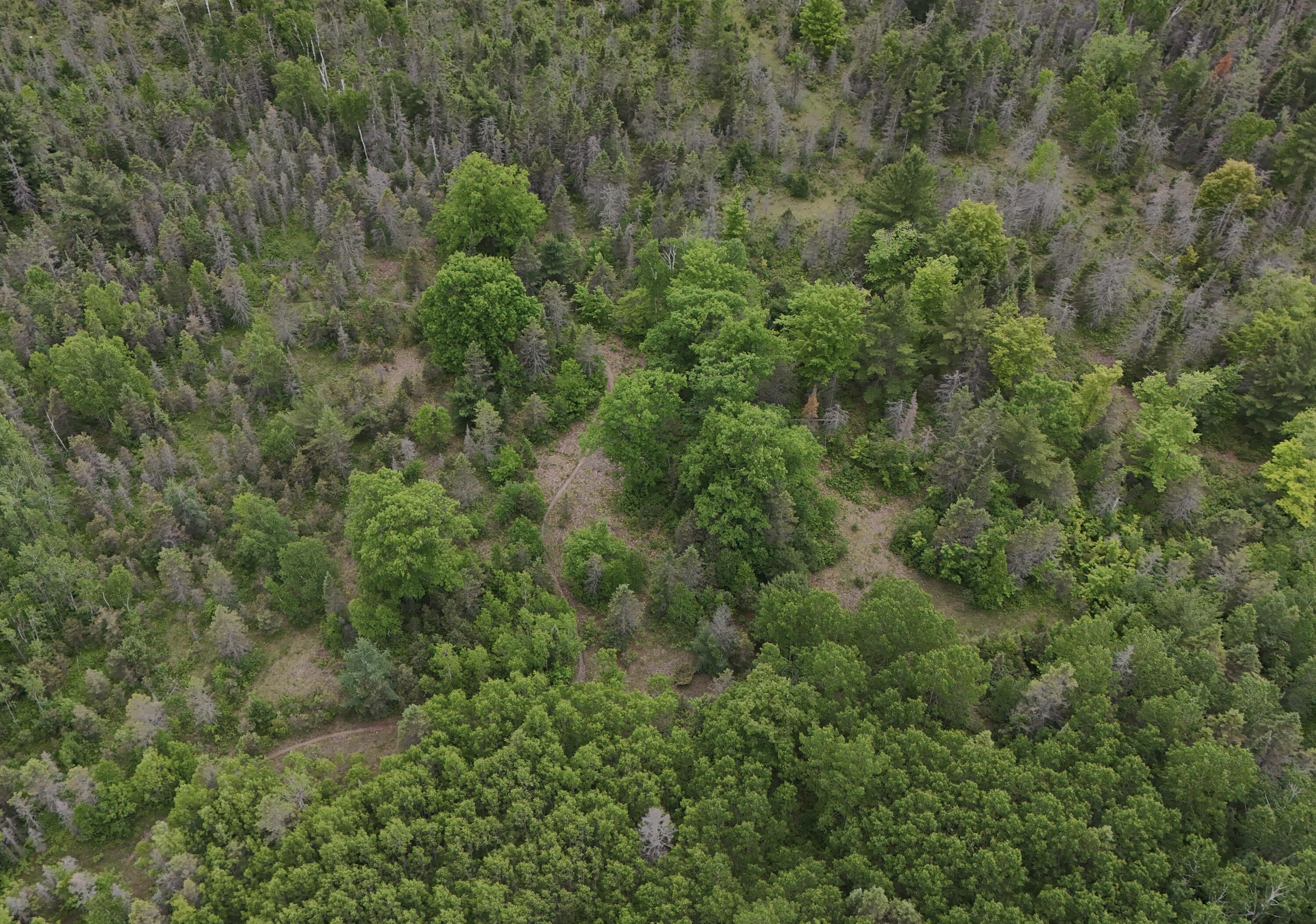 East Woods Road Goetzville, MI 49736 - Photo 4 of 7 DJI_20250630063809_0048_D