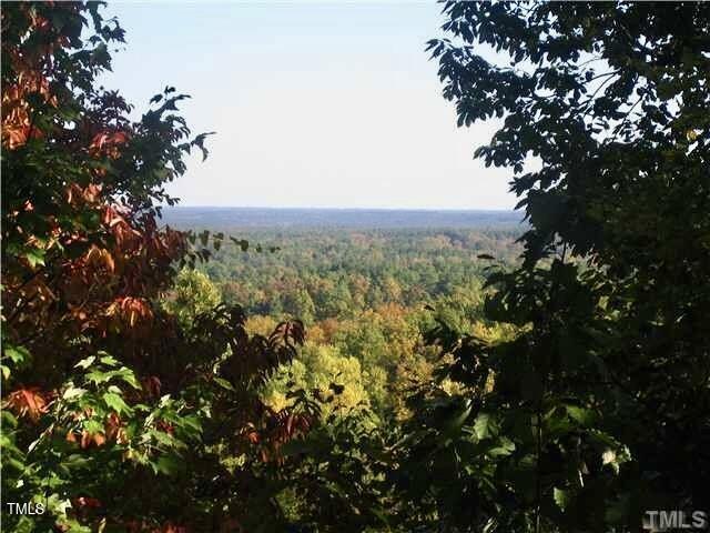 11515 McLean Chapel Hill, NC 27517 - Photo 5 of 8 a view of a tree