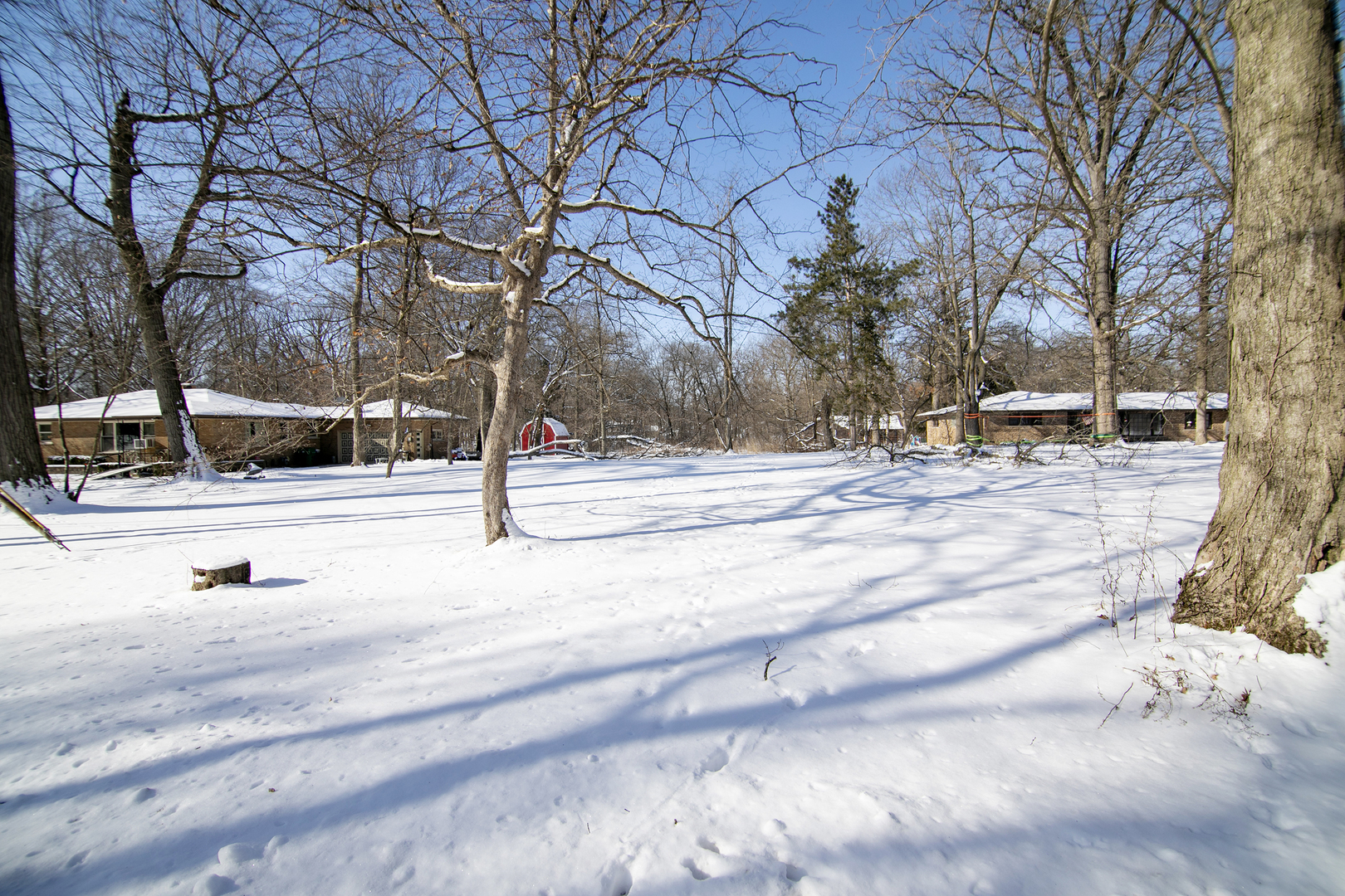 26906 South Sylvan Lane Monee, IL 60449 - Photo 5 of 20