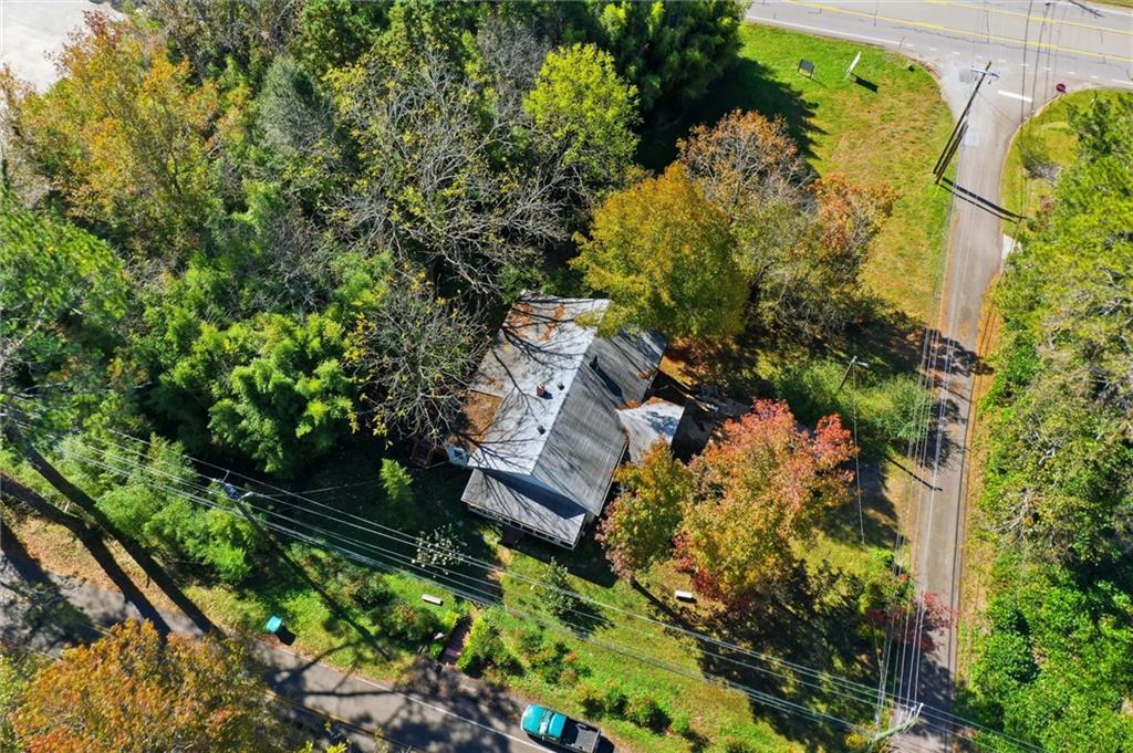 348 Old Tate Road Jasper, GA 30143 - Photo 7 of 35 a view of a yard with plants and large trees