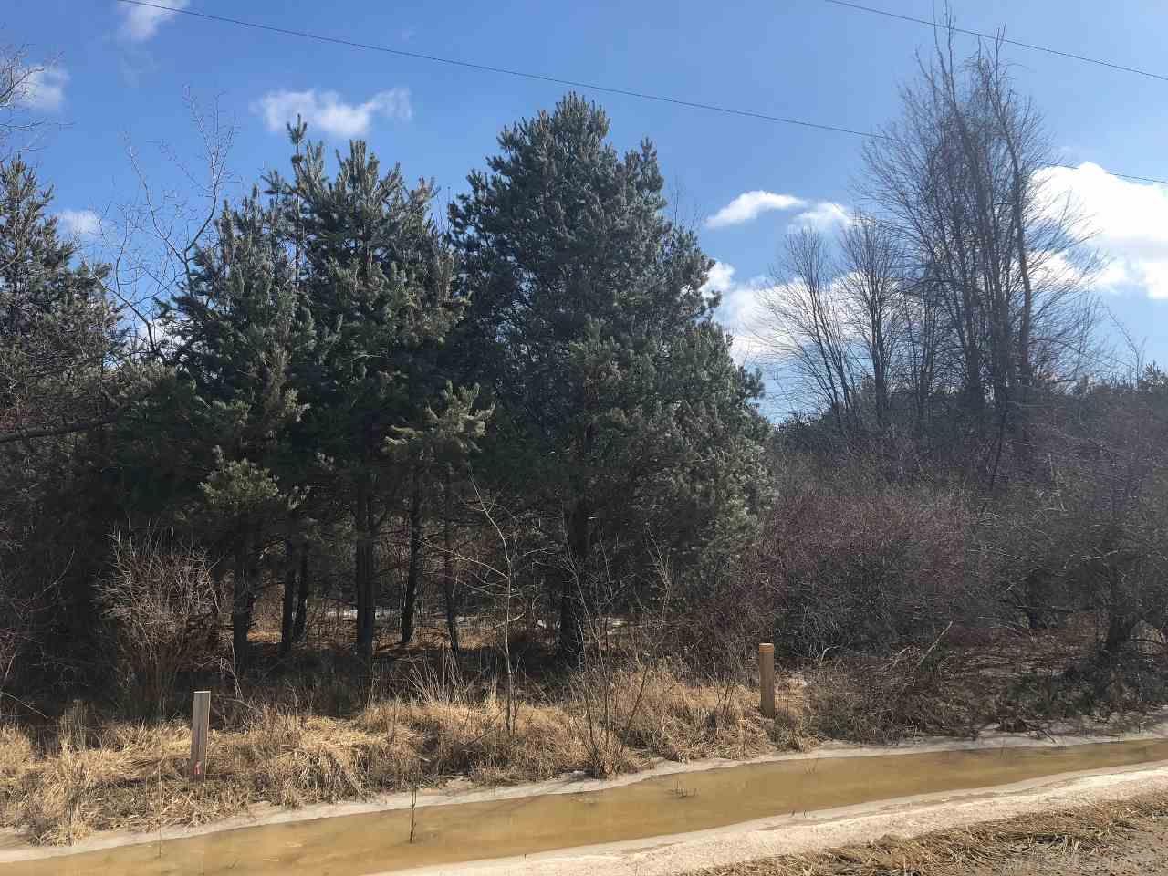 0 Maple Valley Road Sandusky, MI 48471 - Photo 2 of 4