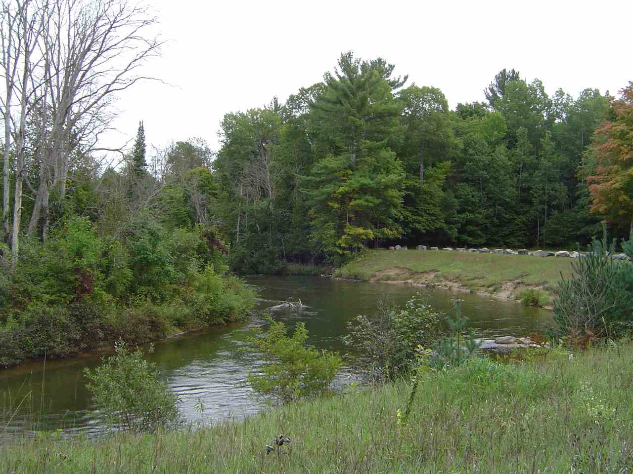 B2 A Coster Road Fife Lake, MI 49633 - Photo 13 of 17 Approx 2 Miles to tons of state land