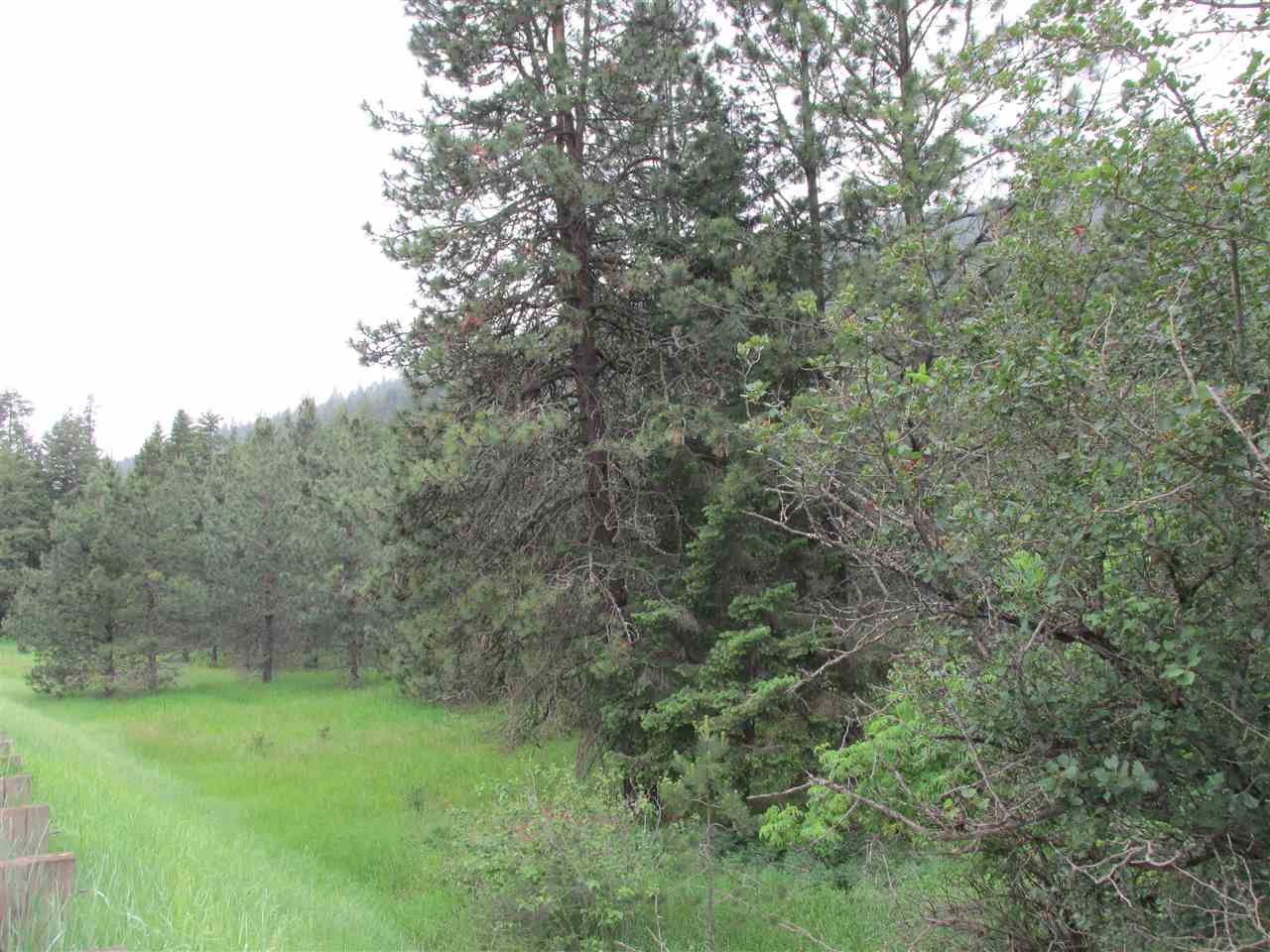 631 Williams Lake Road Colville, WA 99114 - Photo 2 of 7