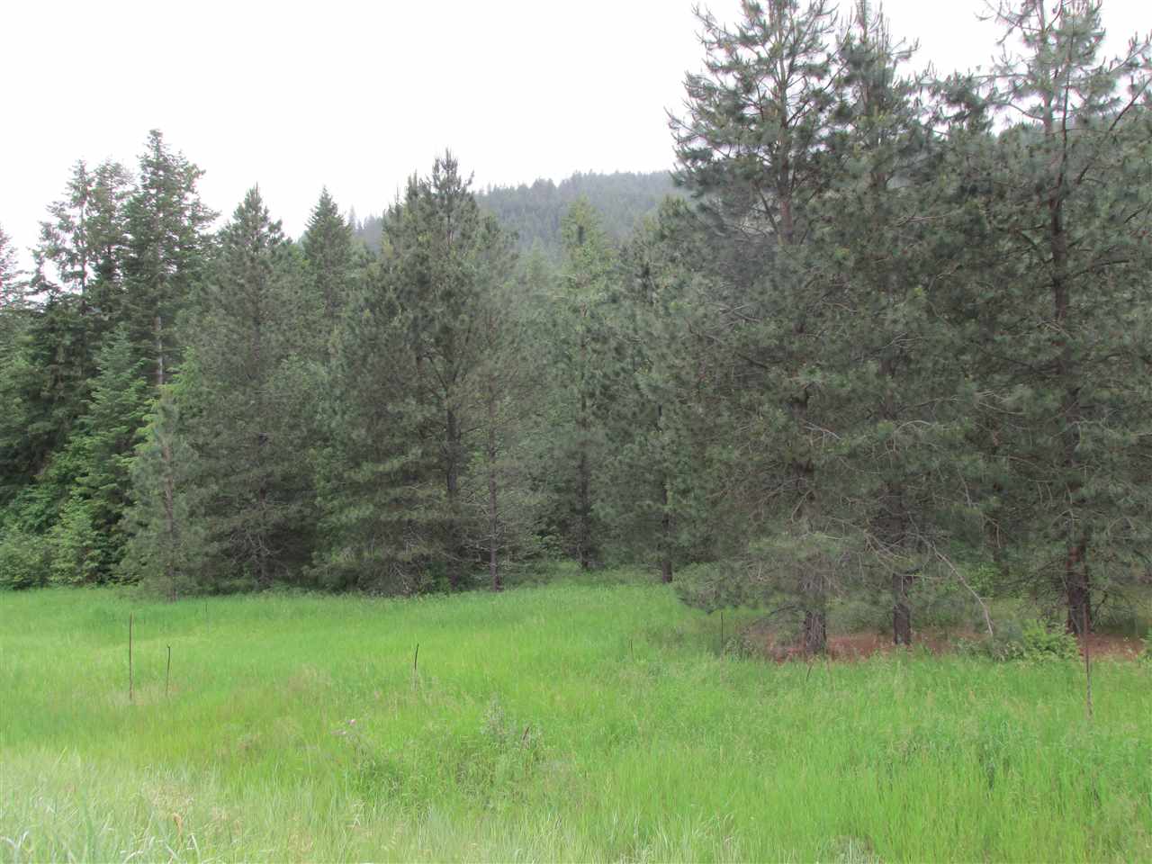 631 Williams Lake Road Colville, WA 99114 - Photo 4 of 7