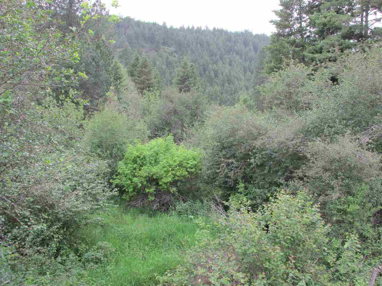 631 Williams Lake Road Colville, WA 99114 - Photo 5 of 7