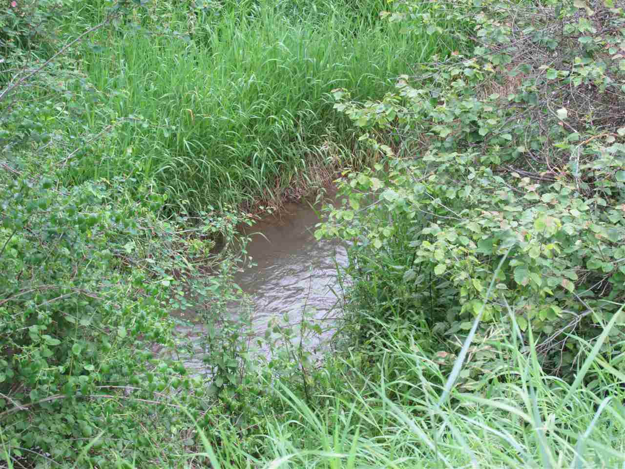 631 Williams Lake Road Colville, WA 99114 - Photo 6 of 7