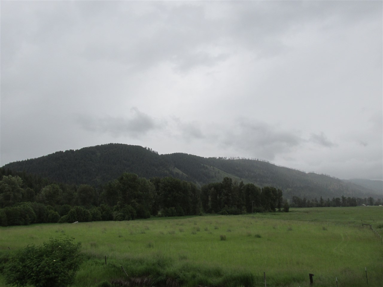631 Williams Lake Road Colville, WA 99114 - Photo 7 of 7