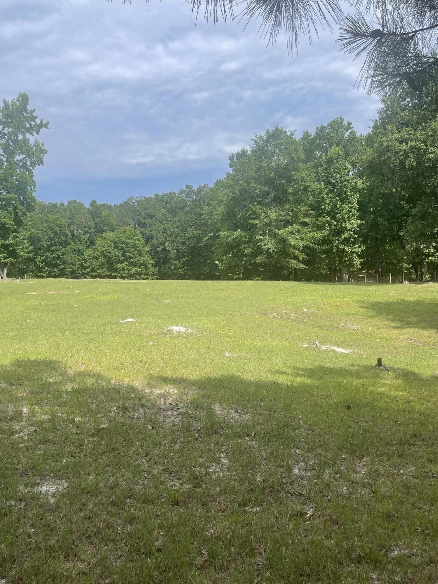 56 Geno Branch Road Camden, SC 29020 - Photo 14 of 21
