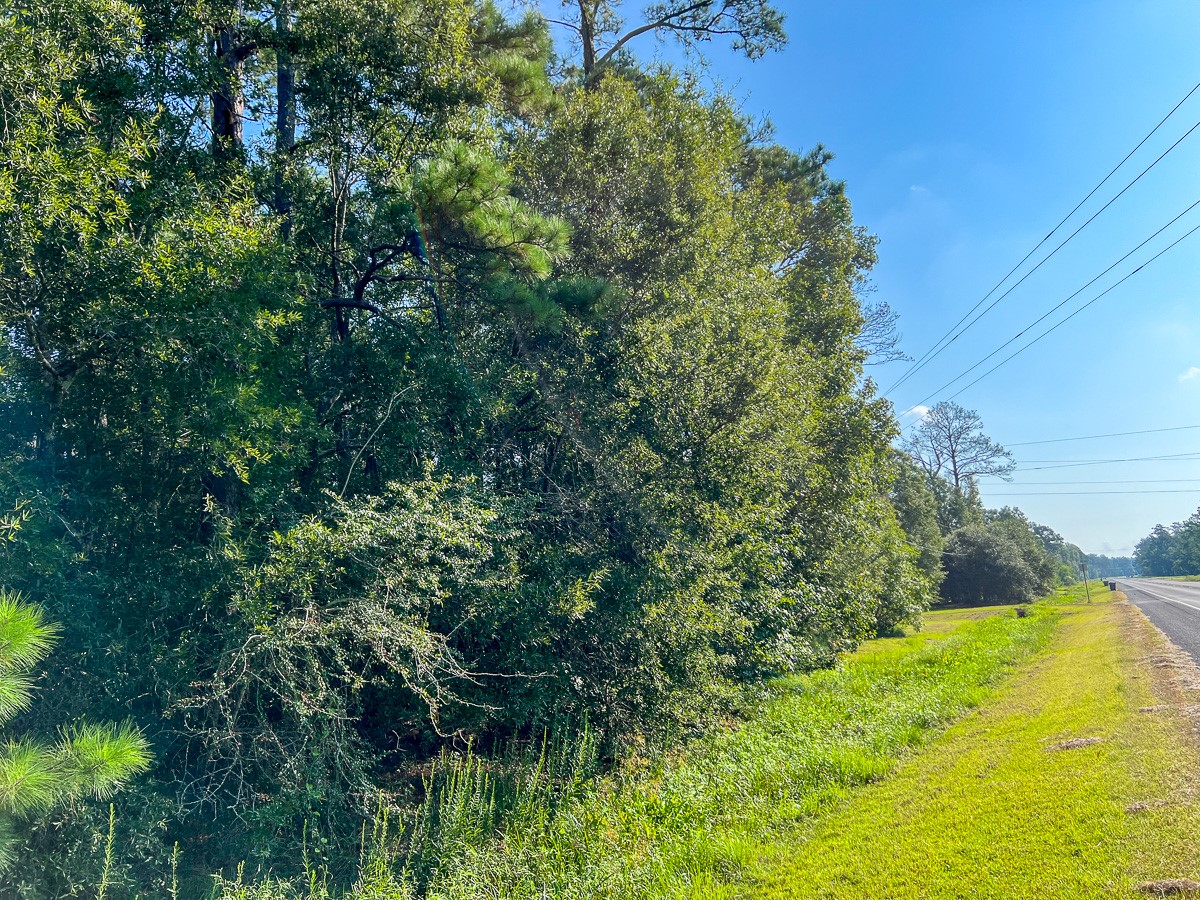 1 Fm 2802 Vidor, TX 77662 - Photo 3 of 13