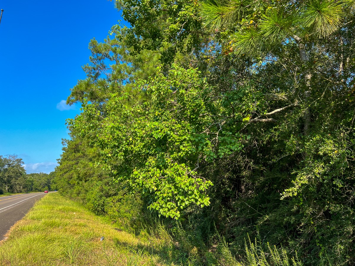 1 Fm 2802 Vidor, TX 77662 - Photo 4 of 13