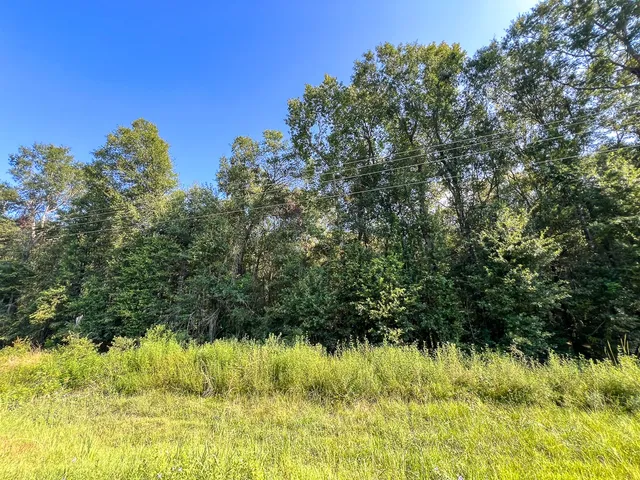 $232,050 | 1 Fm 2802, Vidor, TX 77662