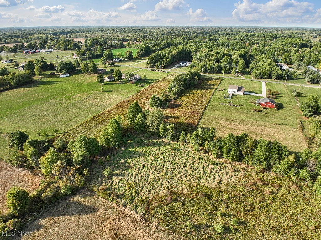 34645 Dye Road Columbia Station, OH 44028 - Photo 7 of 18 Overview of rural landscape with a forest