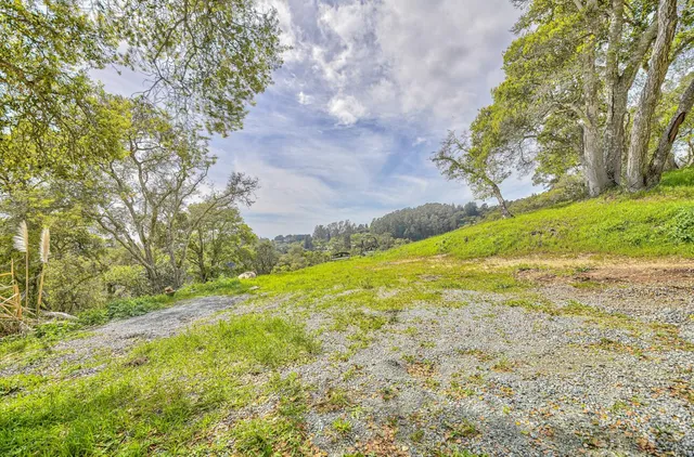 a view of yard with large trees