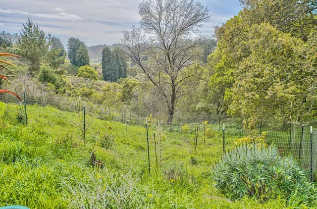 a view of a lake view with a garden