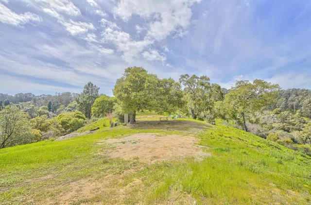 a view of a yard with an trees