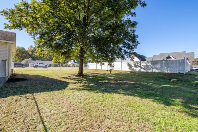 a view of a tree in the middle of a yard