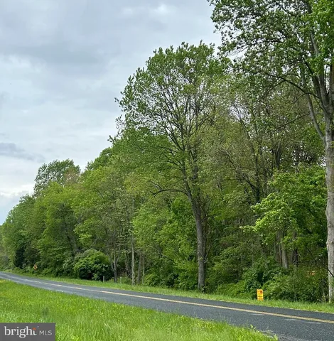a view of a yard with an trees