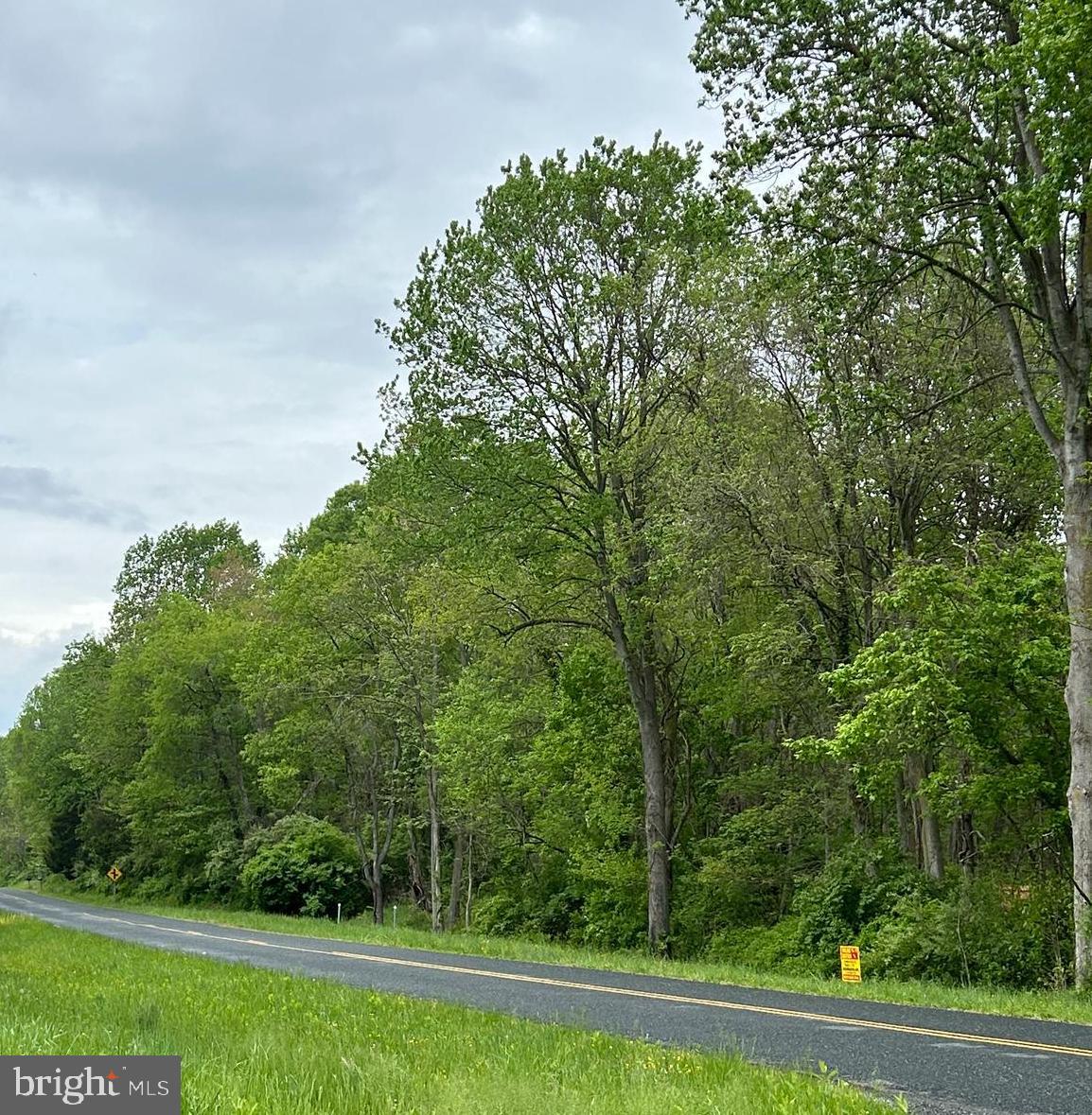 a view of a yard with an trees
