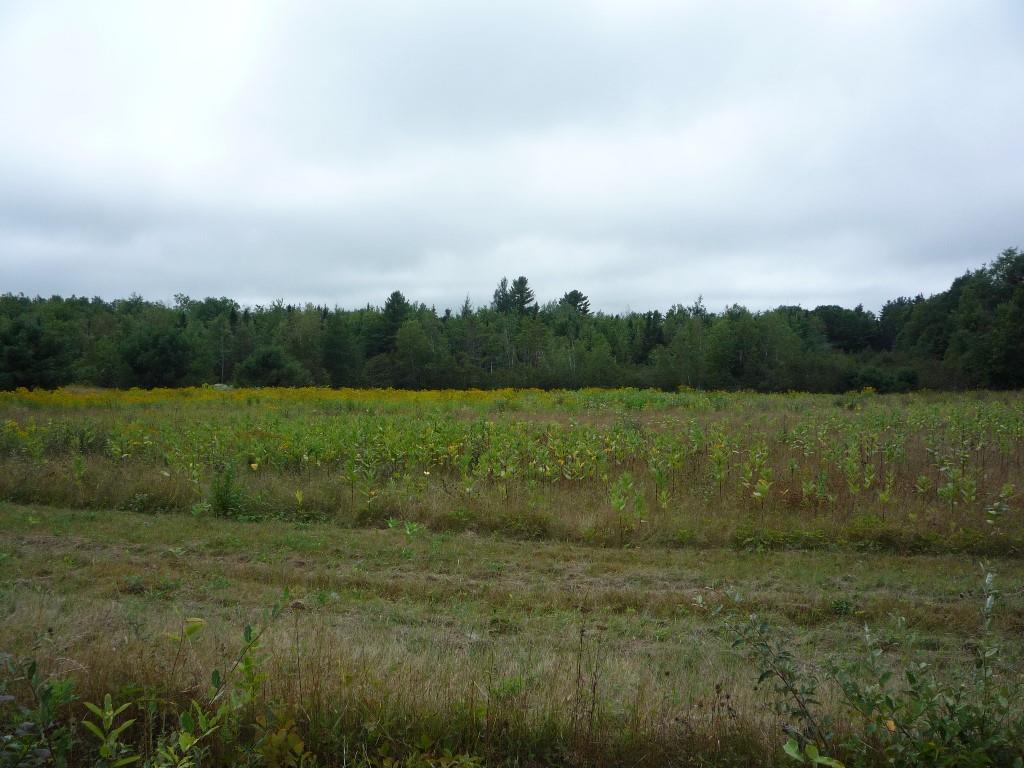 0 North Bend Road Ellsworth, ME 04605 - Photo 1 of 2 Photo