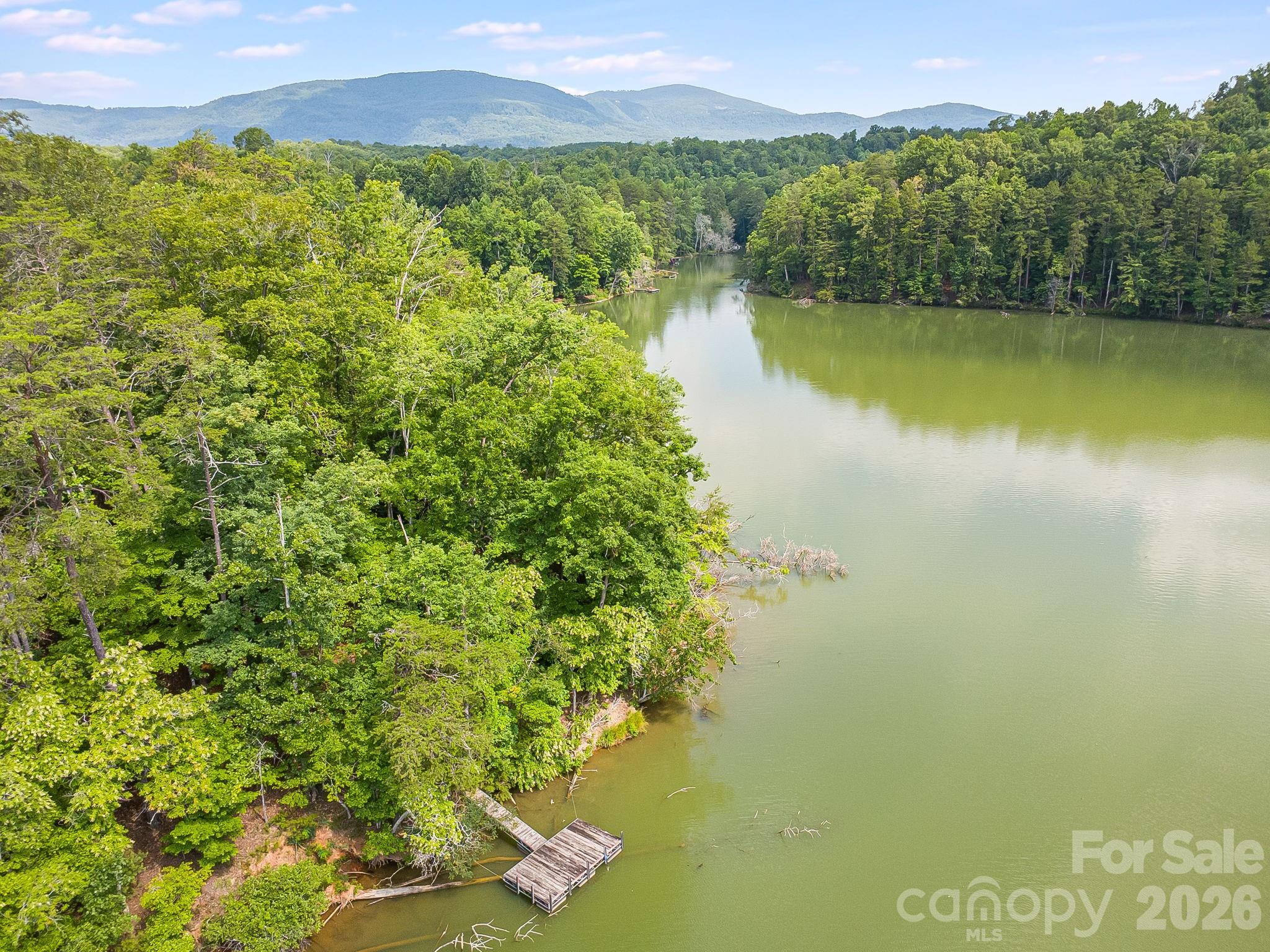 0 Canoe Drive, Unit 40 Mill Spring, NC 28756 - Photo 6 of 23