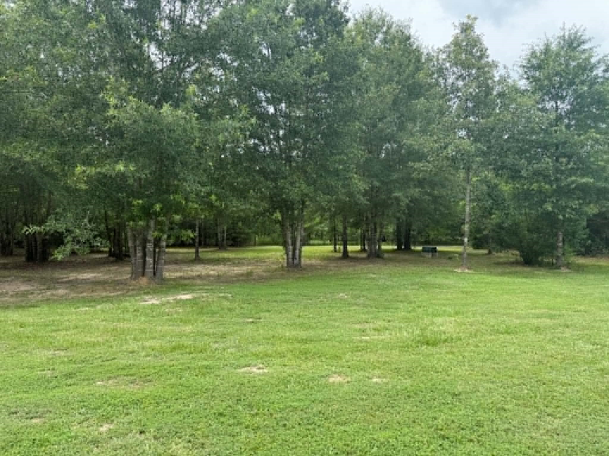 476 Camp Branch Road Trinity, TX 75862 - Photo 22 of 23