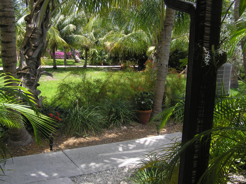 591 Sombrero Beach Road, Unit 8 Marathon, FL 33050 - Photo 19 of 21 LANDSCAPE