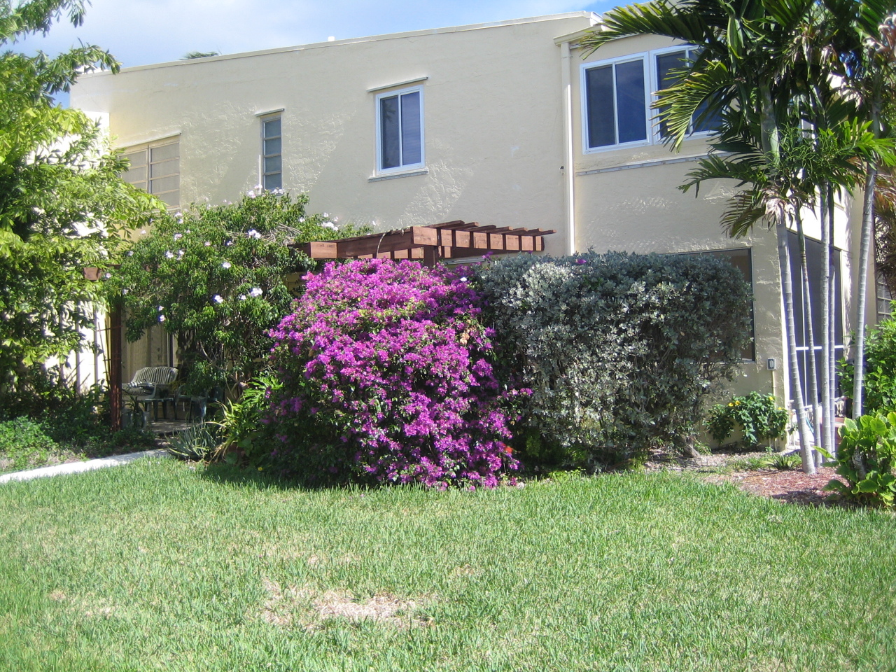 591 Sombrero Beach Road, Unit 8 Marathon, FL 33050 - Photo 21 of 21 Beautiful courtyard foliage