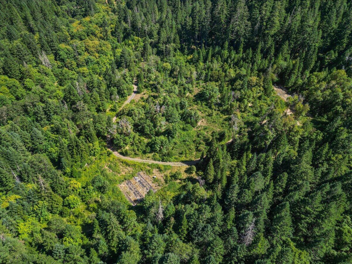 433 Old Stage Road Wolf Creek, OR 97497 - Photo 8 of 13 Aerial