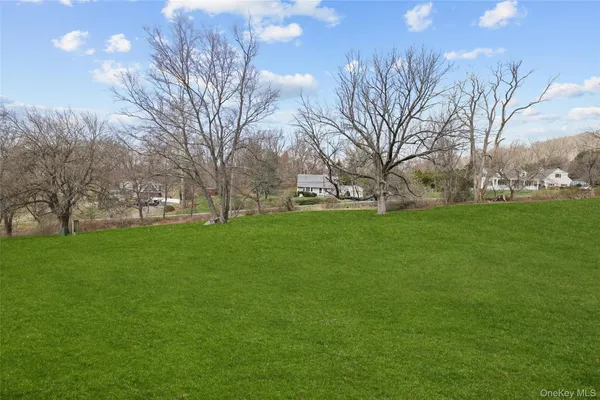 a view of a park with large trees