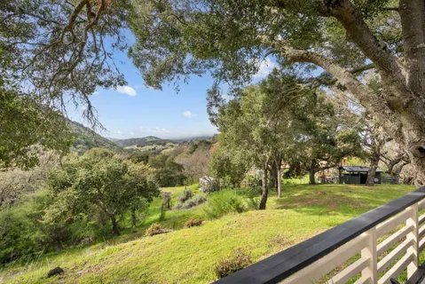 a view of a yard with large trees